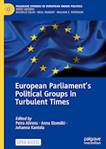 European Parliament’s Political Groups in Turbulent Times