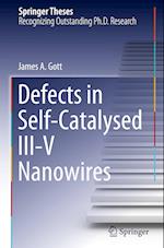 Defects in Self-Catalysed III-V Nanowires 