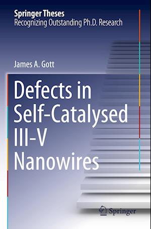 Defects in Self-Catalysed III-V Nanowires