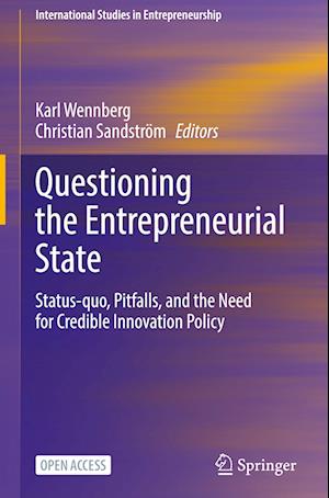 Questioning the Entrepreneurial State