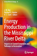 Energy Production in the Mississippi River Delta