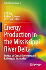 Energy Production in the Mississippi River Delta