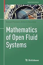 Mathematics of Open Fluid Systems
