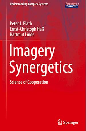 Imagery Synergetics