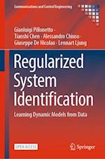 Regularized System Identification