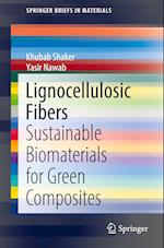 Lignocellulosic Fibers