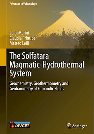 The Solfatara Magmatic-Hydrothermal System