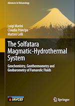 The Solfatara Magmatic-Hydrothermal System