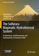 The Solfatara Magmatic-Hydrothermal System