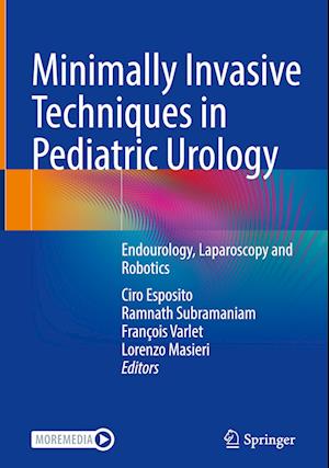 Minimally Invasive Techniques in Pediatric Urology