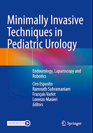 Minimally Invasive Techniques in Pediatric Urology