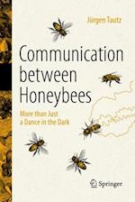 Communication Between Honeybees