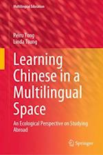 Learning Chinese in a Multilingual Space