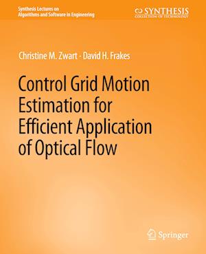 Control Grid Motion Estimation for Efficient Application of Optical Flow