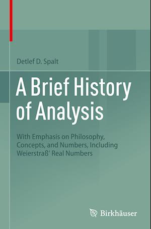 A Brief History of Analysis