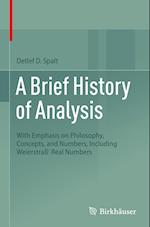 A Brief History of Analysis