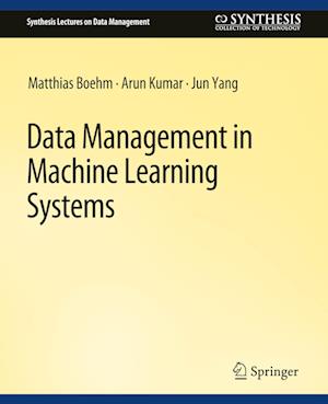 Data Management in Machine Learning Systems