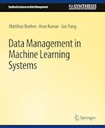 Data Management in Machine Learning Systems