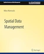 Spatial Data Management