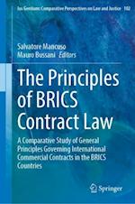 Principles of BRICS Contract Law