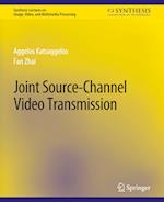 Joint Source-Channel Video Transmission