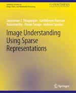 Image Understanding using Sparse Representations
