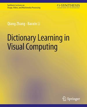 Dictionary Learning in Visual Computing