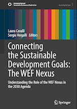 Connecting the Sustainable Development Goals: The WEF Nexus