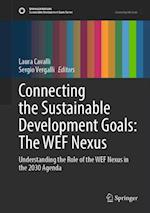 Connecting the Sustainable Development Goals: The WEF Nexus