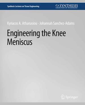 Engineering the Knee Meniscus