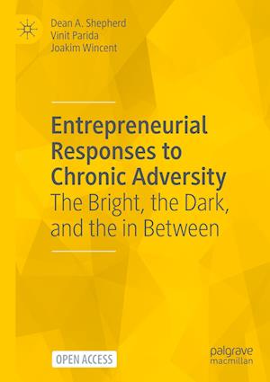 Entrepreneurial Responses to Chronic Adversity