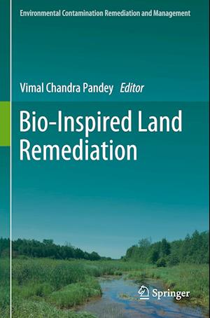 Bio-Inspired Land Remediation