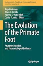 The Evolution of the Primate Foot