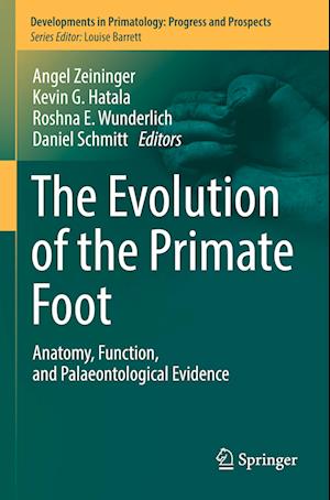 The Evolution of the Primate Foot