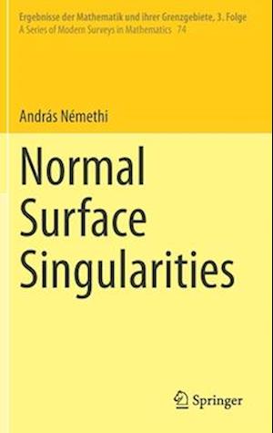 Normal Surface Singularities