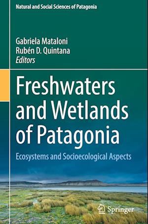 Freshwaters and Wetlands of Patagonia