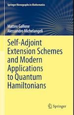 Self-adjoint Extension Schemes and Modern Applications to Quantum Hamiltonians
