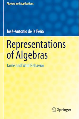 Representations of Algebras