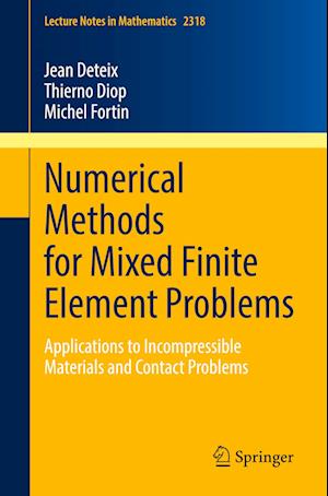 Numerical Methods for Mixed Finite Element Problems