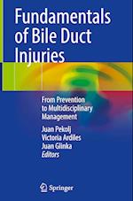 Fundamentals of Bile Duct Injuries