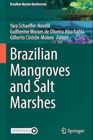 Brazilian Mangroves and Salt Marshes