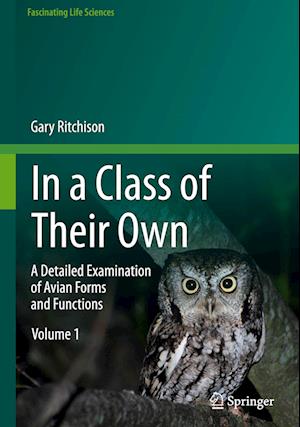 In a Class of Their Own: A Detailed Examination of Avian Forms and Functions