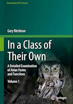 In a Class of Their Own: A Detailed Examination of Avian Forms and Functions