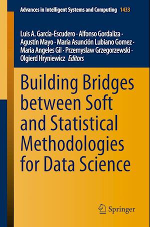 Building Bridges between Soft and Statistical Methodologies for Data Science