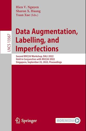 Data Augmentation, Labelling, and Imperfections