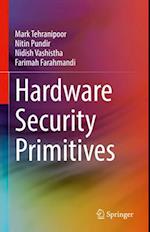 Hardware Security Primitives