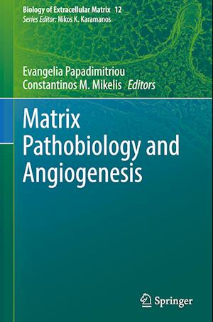 Matrix Pathobiology and Angiogenesis