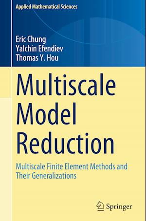 Multiscale Model Reduction