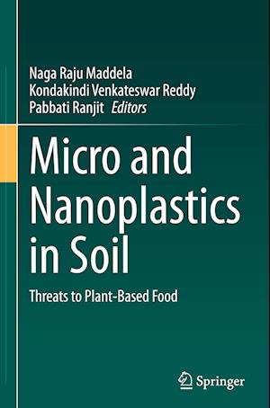 Micro and Nanoplastics in Soil