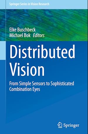 Distributed Vision